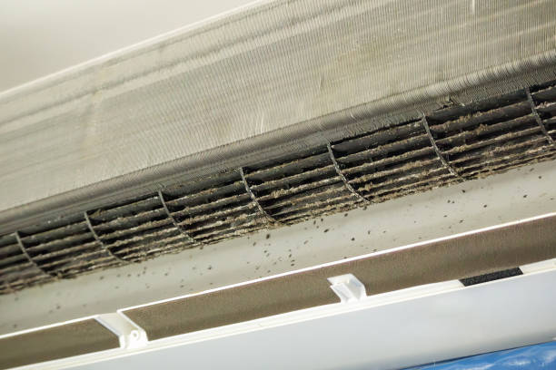 Ventilation Cleaning Services in Westwood, MI